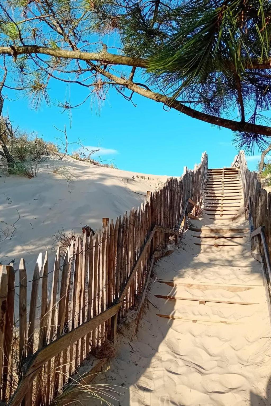 Holiday Home Maisouet By Interhome Mimizan-Plage Εξωτερικό φωτογραφία